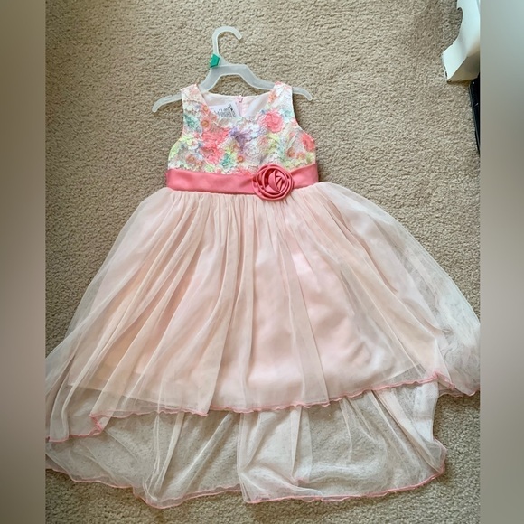 Bonnie Jean Sz 4 Pink Floral Lace and Tulle Dress - Picture 1 of 5